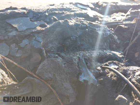 2023 Dodge Durango R/T Plus z VIN 1C4SDHCT7PC687200, wystawiony jako IAAI lot #41146614 z przebiegiem Nie podano mil oraz . Historia ofert i sprzedaży dostępna na DreamBid. Obrazek 7.