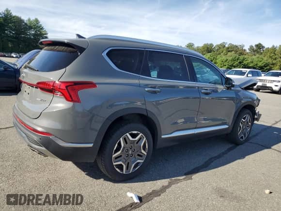 2021 Hyundai Santa Fe Limited with VIN 5NMS4DAL9MH360385, listed as a Copart auction lot 69620425 with 75,591 mi miles and Salvage title. Bid and sale history available at DreamBid. Image 3.