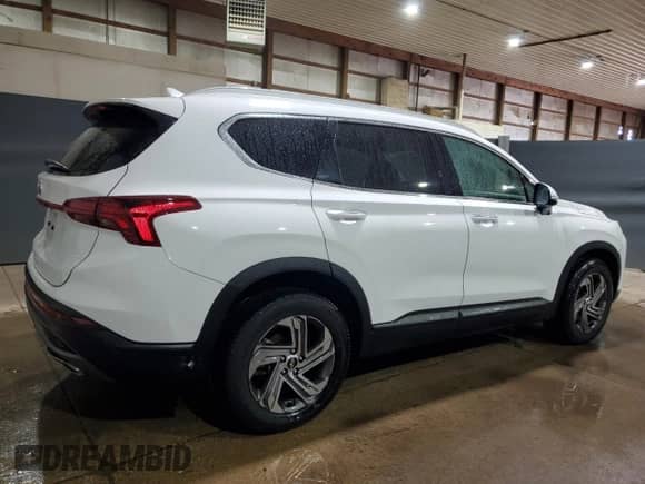 2023 Hyundai Santa Fe SEL с VIN 5NMS24AJ0PH570706, выставлен на аукционе Copart как лот 87243955 с пробегом 121 598 миль миль и Чистый • Clean title. История ставок и продаж доступна на DreamBid. Изображение 3.