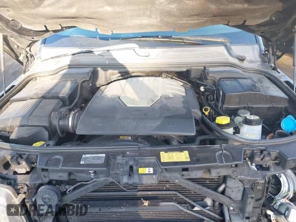 2009 Land Rover Range Rover Sport SC z VIN SALSH23479A202281, wystawiony jako IAAI lot #42888127 z przebiegiem 134 969 mil mil oraz . Historia ofert i sprzedaży dostępna na DreamBid. Obrazek 10.