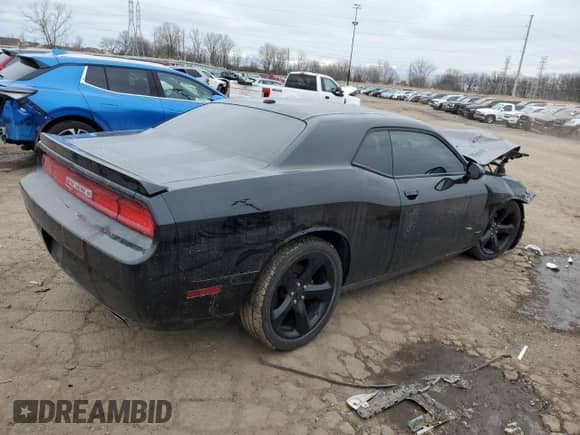 2014 Dodge Challenger R/T Plus with VIN 2C3CDYBT7EH250351, listed as a Copart auction lot 43872685 with 53,080 mi miles and Clean title. Bid and sale history available at DreamBid. Image 3.