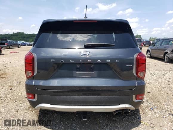 2020 Hyundai Palisade SE with VIN KM8R1DHE7LU069921, listed as a Copart auction lot 66037475 with 65,255 mi miles and Salvage title. Bid and sale history available at DreamBid. Image 6.