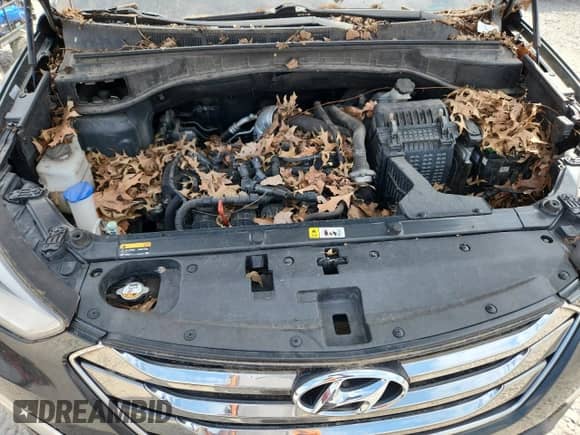 2013 Hyundai Santa Fe Sport with VIN 5XYZU3LA0DG123721, listed as a Copart auction lot 67455325 with Not provided miles and Clean title. Bid and sale history available at DreamBid. Image 12.