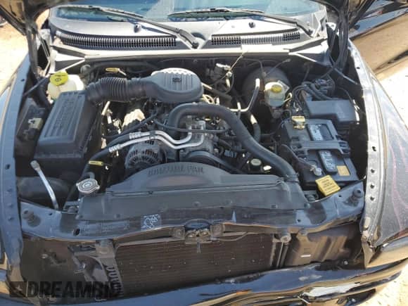 1999 Dodge Dakota SLT with VIN 1B7GL26Z9XS278840, listed as a Copart auction lot 65640885 with 62,454 mi miles and Salvage title. Bid and sale history available at DreamBid. Image 11.