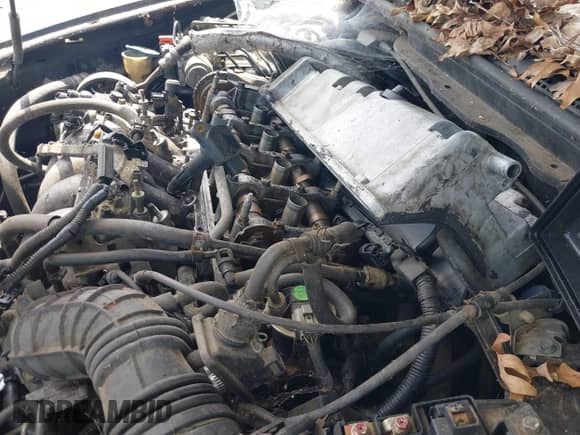 2005 Honda Accord EX with VIN 1HGCM56765A009503, listed as a IAAI auction lot 42649286 with Not provided miles and . Bid and sale history available at DreamBid. Image 11.