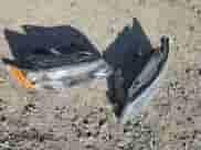 2006 Hyundai Sonata GLS z VIN 5NPEU46F76H096220, wystawiony jako Copart lot #80667385 z przebiegiem 57 076 mil mil oraz Szkoda całkowita • Salvage title. Historia ofert i sprzedaży dostępna na DreamBid. Obrazek 12.