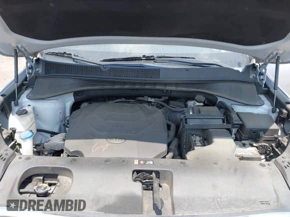 2019 Kia Sorento LX with VIN 5XYPGDA50KG440518, listed as a IAAI auction lot 42812826 with 133,828 mi miles and . Bid and sale history available at DreamBid. Image 10.