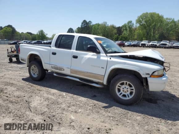 2002 Dodge Dakota SLT with VIN 1B7HG48N12S551650, listed as a Copart auction lot 49324025 with 183,653 mi miles and Salvage title. Bid and sale history available at DreamBid. Image 4.