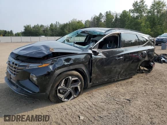 2024 Hyundai Tucson with VIN KM8JDDD26RU146125, listed as a Copart auction lot 67396975 with Not provided miles and Clean title. Bid and sale history available at DreamBid. Image 1.