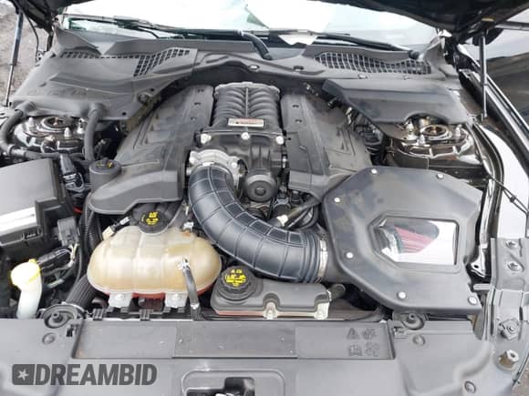 2019 Ford Mustang GT z VIN 1FA6P8CF4K5124160, wystawiony jako IAAI lot #43291307 z przebiegiem 19 959 mil mil oraz . Historia ofert i sprzedaży dostępna na DreamBid. Obrazek 10.