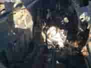 2019 Nissan Frontier SV with VIN 1N6AD0CW6KN871304, listed as a Copart auction lot 85126335 with Not provided miles and Non repairable. Bid and sale history available at DreamBid. Image 10.