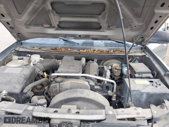 2009 Chevrolet TrailBlazer 1LT with VIN 1GNDT33S392101677, listed as a IAAI auction lot 43109854 with 186,821 mi miles and . Bid and sale history available at DreamBid. Image 10.