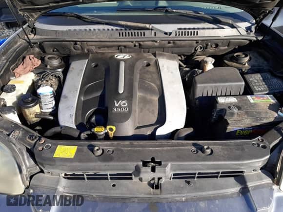 2005 Hyundai Santa Fe GLS с VIN KM8SC73E15U882999, выставлен на аукционе Copart как лот 69503144 с пробегом Не указан миль и Списание • Salvage title. История ставок и продаж доступна на DreamBid. Изображение 12.