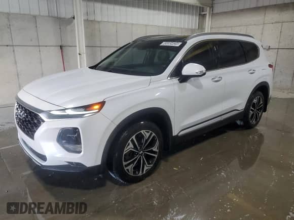 2019 Hyundai Santa Fe Limited with VIN 5NMS5CAA6KH134419, listed as a Copart auction lot 85585935 with 132,018 mi miles and Clean title. Bid and sale history available at DreamBid. Image 1.