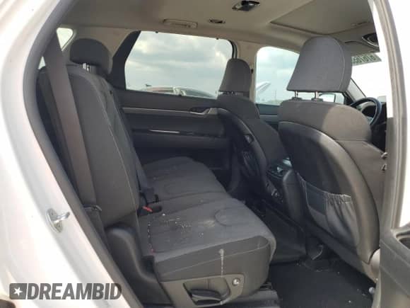 2020 Hyundai Palisade SEL с VIN KM8R3DHEXLU126235, выставлен на аукционе Copart как лот 67676554 с пробегом 101 823 миль миль и На запчасти • Non repairable. История ставок и продаж доступна на DreamBid. Изображение 11.