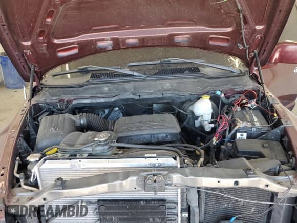 2002 Dodge 1500 with VIN 3D7HA18N92G156483, listed as a Copart auction lot 53107395 with 194,687 mi miles and Salvage title. Bid and sale history available at DreamBid. Image 11.