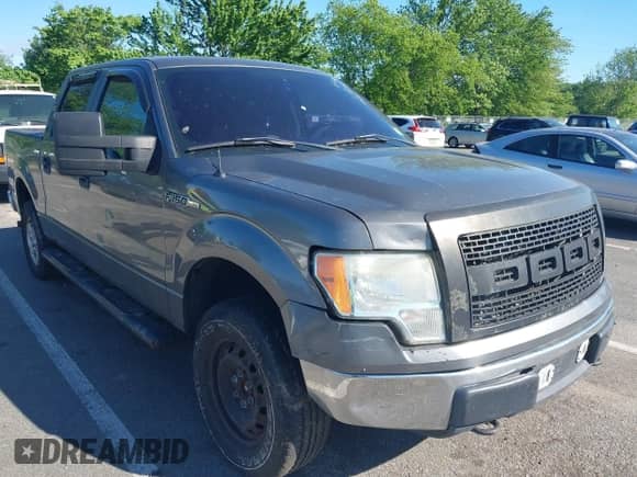2009 Ford F-150 XL with VIN 1FTRW14819FB18628, listed as a IAAI auction lot 42303828 with 193,672 mi miles and . Bid and sale history available at DreamBid. Image 6.