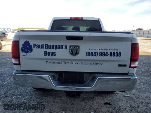 2010 Dodge 1500 SLT с VIN 1D7RB1CP3AS180084, выставлен на аукционе Copart как лот 43014735 с пробегом 193 567 миль миль и Списание • Salvage title. История ставок и продаж доступна на DreamBid. Изображение 6.