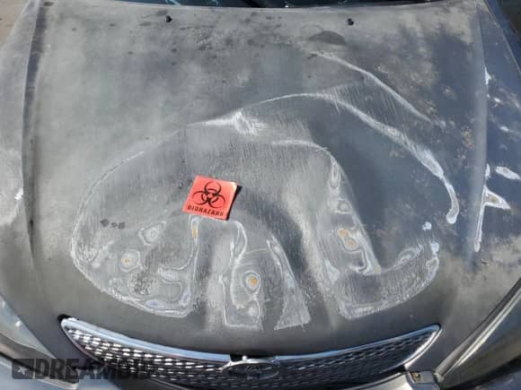 2002 Toyota Camry XLE with VIN JTDBF30K020036770, listed as a Copart auction lot 67023045 with Not provided miles and Salvage title. Bid and sale history available at DreamBid. Image 11.