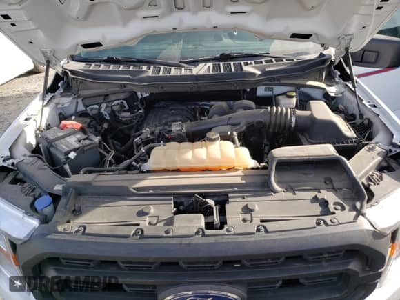 2021 Ford F-150 XL с VIN 1FTEX1CB0MKD56317, выставлен на аукционе Copart как лот 75570484 с пробегом 72 512 миль миль и Списание • Salvage title. История ставок и продаж доступна на DreamBid. Изображение 11.