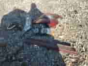 2016 Chevrolet Sonic LT with VIN 1G1JC5SB1G4180561, listed as a Copart auction lot 47017225 with 70,943 mi miles and Salvage title. Bid and sale history available at DreamBid. Image 12.