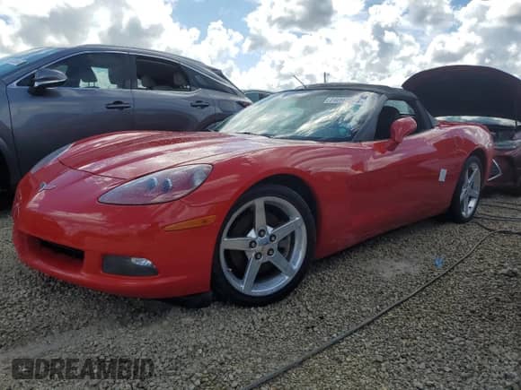 2005 Chevrolet Corvette with VIN 1G1YY34U955117539, listed as a Copart auction lot 74097044 with Not provided miles and Salvage title. Bid and sale history available at DreamBid. Image 1.