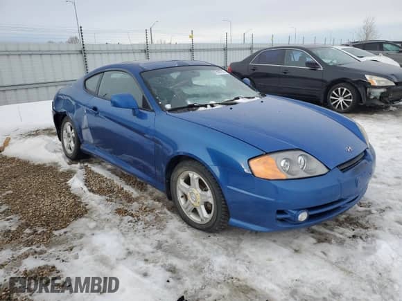 2004 Hyundai Tiburon SE с VIN KMHHN65D14U140684, выставлен на аукционе Copart как лот 87508755 с пробегом 180 928 миль миль и Списание • Salvage title. История ставок и продаж доступна на DreamBid. Изображение 1.