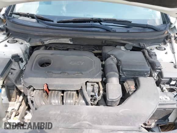 2016 Hyundai Sonata SE with VIN 5NPE24AF6GH417176, listed as a IAAI auction lot 42889380 with 177,278 mi miles and . Bid and sale history available at DreamBid. Image 10.