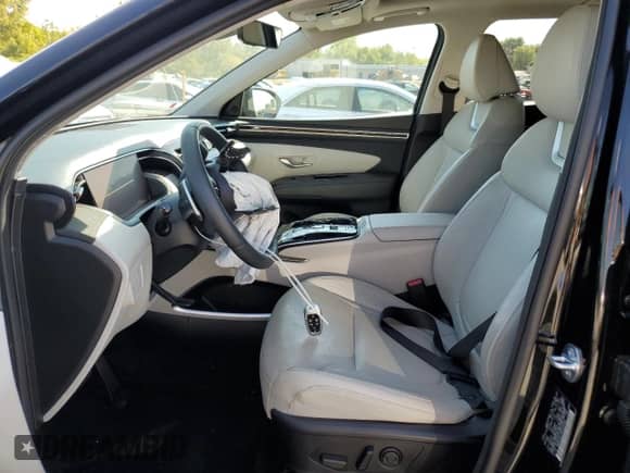 2024 Hyundai Tucson Limited with VIN KM8JECD15RU139746, listed as a Copart auction lot 81848805 with Not provided miles and Salvage title. Bid and sale history available at DreamBid. Image 7.