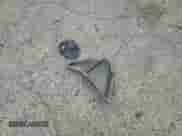 2024 BMW 3 Series 330i xDrive с VIN 3MW89FF03R8E36442, выставлен на аукционе Copart как лот 70542775 с пробегом 37 072 миль миль и Списание • Salvage title. История ставок и продаж доступна на DreamBid. Изображение 12.