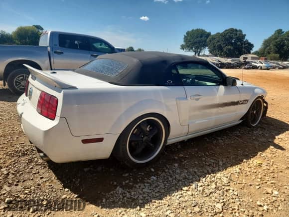 2009 Ford Mustang GT with VIN 1ZVHT85H995101560, listed as a Copart auction lot 70455685 with 248,600 mi miles and Salvage title. Bid and sale history available at DreamBid. Image 3.