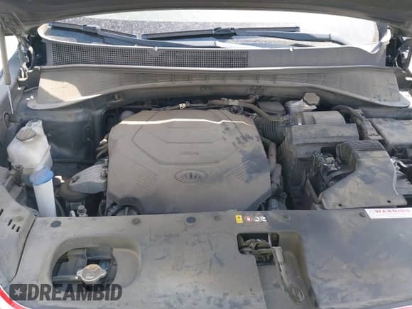 2019 Kia Sorento LX with VIN 5XYPG4A5XKG489435, listed as a IAAI auction lot 42862405 with Not provided miles and . Bid and sale history available at DreamBid. Image 10.