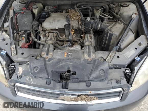 2011 Chevrolet Impala Police Police с VIN 2G1WD5EM3B1269438, выставлен на аукционе Copart как лот 53116695 с пробегом Не указан миль и Списание • Salvage title. История ставок и продаж доступна на DreamBid. Изображение 11.