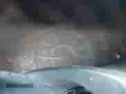 2004 Honda Accord EX with VIN 1HGCM66854A011661, listed as a IAAI auction lot 43265832 with Not provided miles and . Bid and sale history available at DreamBid. Image 7.