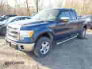 2013 Ford F-150 XL z VIN 1FTEX1EM4DFD51564, wystawiony jako IAAI lot #41778412 z przebiegiem 192 mil mil oraz . Historia ofert i sprzedaży dostępna na DreamBid. Obrazek 17.