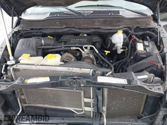 2008 Dodge 1500 SLT z VIN 1D7HU18228S614878, wystawiony jako IAAI lot #43574722 z przebiegiem 241 166 mil mil oraz . Historia ofert i sprzedaży dostępna na DreamBid. Obrazek 10.