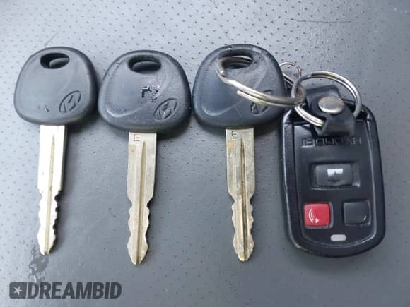 2003 Hyundai Santa Fe GLS с VIN KM8SC13D23U365440, выставлен на аукционе IAAI как лот 42709820 с пробегом 209 864 миль миль и . История ставок и продаж доступна на DreamBid. Изображение 11.