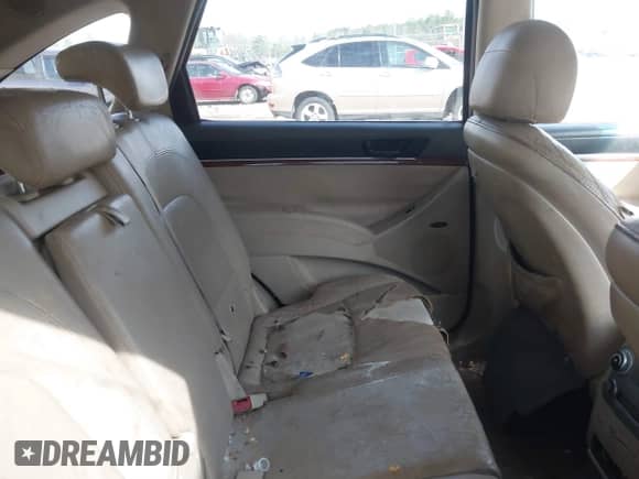 2008 Hyundai Veracruz GLS с VIN KM8NU13C68U066431, выставлен на аукционе IAAI как лот 41890957 с пробегом 225 244 миль миль и . История ставок и продаж доступна на DreamBid. Изображение 8.