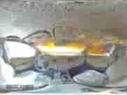 2016 Kia Sorento EX с VIN 5XYPHDA10GG044977, выставлен на аукционе Copart как лот 48550293 с пробегом Не указан миль и Списание • Salvage title. История ставок и продаж доступна на DreamBid. Изображение 14.