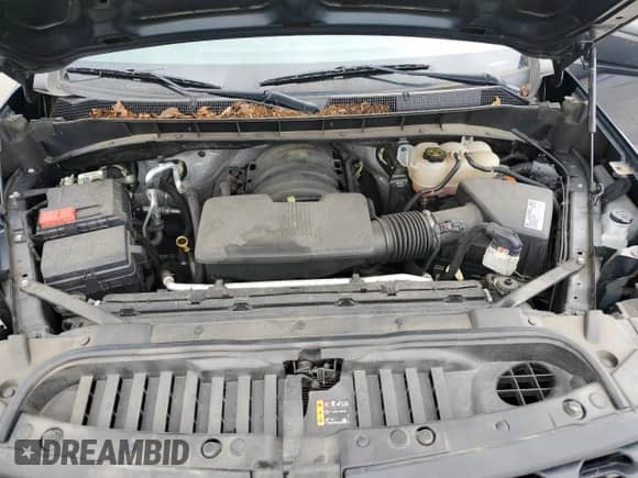 2019 Chevrolet Silverado 1500 Custom Trail Boss with VIN 1GCRYCEF8KZ394750, listed as a Copart auction lot 69009375 with 78,944 mi miles and Salvage title. Bid and sale history available at DreamBid. Image 11.