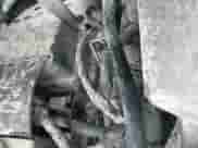 2020 Mitsubishi Outlander SE с VIN JA4AP4AU8LU015085, выставлен на аукционе IAAI как лот 40945489 с пробегом 80 942 миль миль и . История ставок и продаж доступна на DreamBid. Изображение 21.