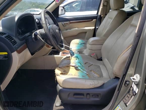 2008 Hyundai Santa Fe SE с VIN 5NMSH73E08H188371, выставлен на аукционе Copart как лот 64846065 с пробегом 174 978 миль миль и Списание • Salvage title. История ставок и продаж доступна на DreamBid. Изображение 7.