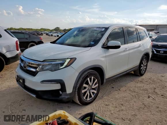 2019 Honda Pilot EX-L z VIN 5FNYF5H55KB019338, wystawiony jako Copart lot #71510585 z przebiegiem 26 114 mil mil oraz Szkoda całkowita • Salvage title. Historia ofert i sprzedaży dostępna na DreamBid. Obrazek 1.