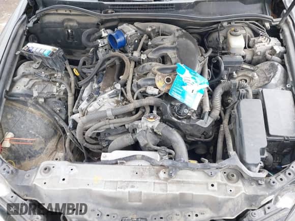 2008 Lexus IS 350 with VIN JTHBE262085017540, listed as a IAAI auction lot 42410781 with Not provided miles and . Bid and sale history available at DreamBid. Image 10.