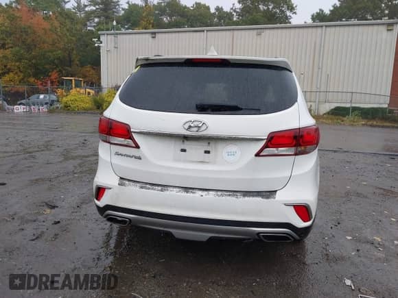 2017 Hyundai Santa Fe SE with VIN KM8SM4HF3HU182998, listed as a IAAI auction lot 43434656 with 115,094 mi miles and . Bid and sale history available at DreamBid. Image 16.