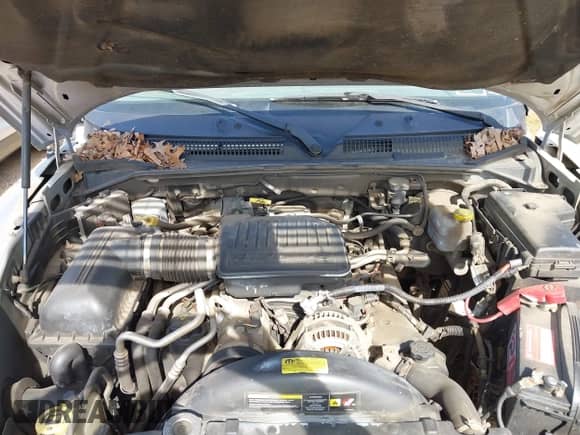 2007 Dodge Dakota SLT with VIN 1D7HW48N37S118556, listed as a IAAI auction lot 41858854 with 155,038 mi miles and . Bid and sale history available at DreamBid. Image 10.