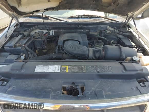 2002 Ford F-150 XL with VIN 2FTPX18L92CA44010, listed as a Copart auction lot 74502864 with Not provided miles and Salvage title. Bid and sale history available at DreamBid. Image 11.