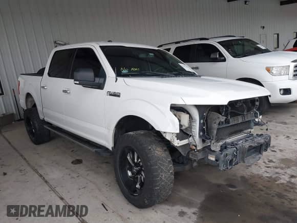 2017 Ford F-150 XL z VIN 1FTEW1CP7HKE11091, wystawiony jako IAAI lot #42657665 z przebiegiem 159 120 mil mil oraz . Historia ofert i sprzedaży dostępna na DreamBid. Obrazek 14.