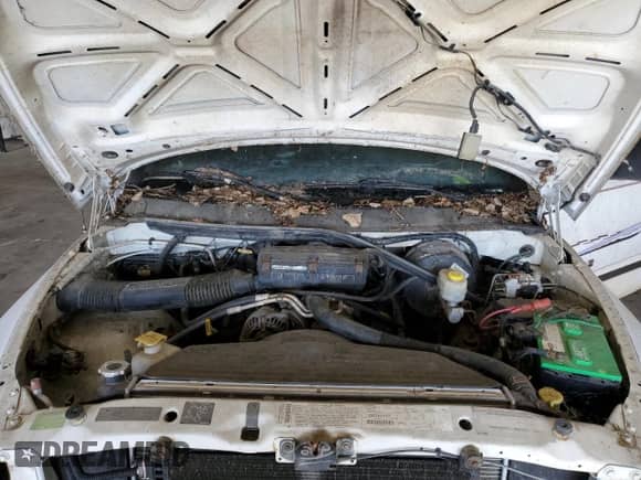 2000 Dodge 2500 with VIN 3B7KF23Z2YG101657, listed as a Copart auction lot 65680035 with Not provided miles and Clean title. Bid and sale history available at DreamBid. Image 11.