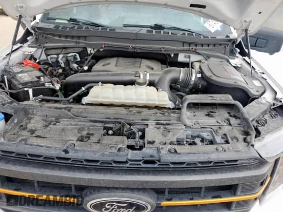 2023 Ford F-150 XL with VIN 1FTEW1E83PFB44870, listed as a Copart auction lot 67404595 with 69,006 mi miles and Salvage title. Bid and sale history available at DreamBid. Image 11.